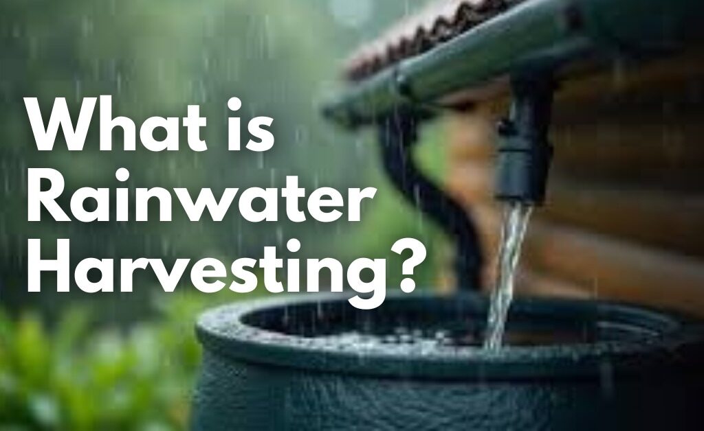 rainwater harvesting